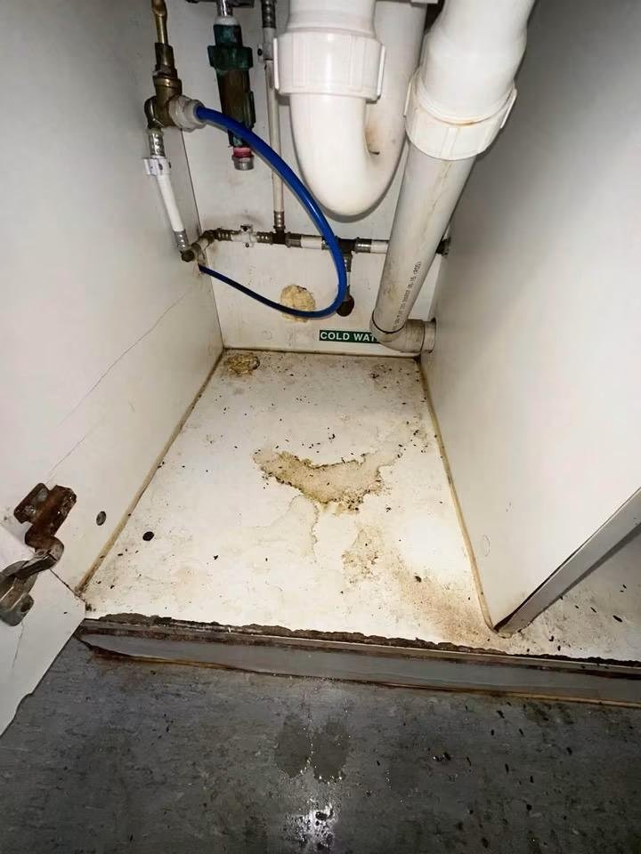 cleaning services Geraldton